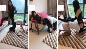 红色妖姬,狗奴是怎样被本主训练而成的