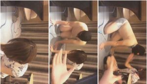妆主调双奴