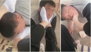 暴君希爷-户外玩狗-6u6uj6-00546bh423