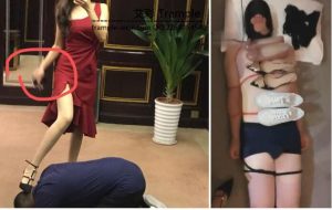 【若依Dom】狗就应该在狗窝睡！-97LZTD-5203166666