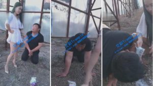 【冷柔s】随意蹂躏羞辱羞辱小肥狗(下半场)-ss 泡面虐-97LZTD-231