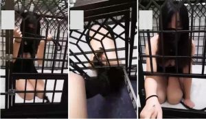 【维亚】冬至严厉tj圈养女奴-97LZTD-291