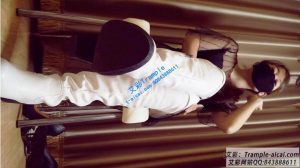 WHCS_JR503全语言女巨人POV-97LZTD-340