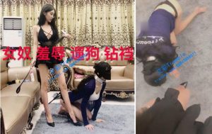 【小贝S】（必看）遛狗钻胯羞辱贱母狗-97LZTD-1071