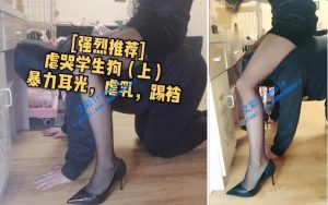 【昆明南桥s】虐哭学生狗（上）-97LZTD-1468