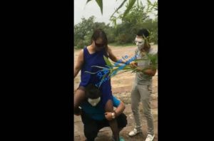 女主户外骑驯众马奴