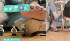 【宇婉莹】我玩乐高狗舔着鞋底