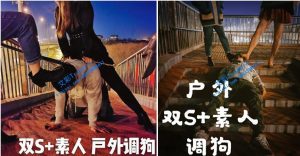 【JOJO&异瞳】双S素人户外调狗