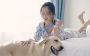 〖碎蛋娇娃〗女职员羞辱经理