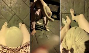 晓主S菜小心S双女王户外开发-97LZTD-1919934
