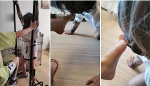 【暴力美学s】暴力鞭打捆绑羞辱贱狗-97LZTD-82252