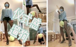 美离子S基础的得到位-97LZTD-82314