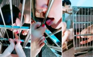 墨云S欺负小童靴-97LZTD-82324