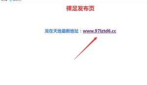 保存永久域名