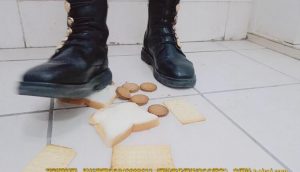 【哚儿】马丁靴踩踏狗粮饼干 精心调配的狗粮（声控系列）-97LZTD-82456