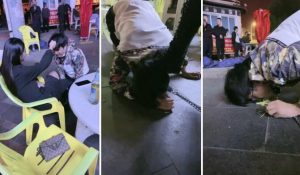 诺曦S热搜户外遛狗引围观当着群众语言羞辱辱骂史上最刺激-97LZTD-82919