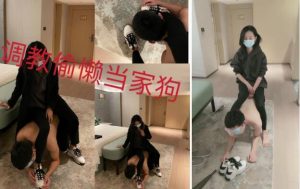 桃子大大S外面回来发现狗子居然偷懒-97LZTD-833399