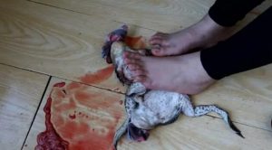 【青柚】Nike运动鞋棉袜踩牛蛙