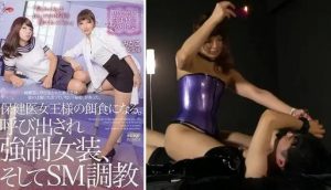 女医生坐脸治愈-97LZTD-8341912