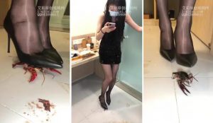小红黑丝高跟粉碎龙虾-97LZTD-8341981