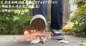 小朱户外万斯 馒头定制-97LZTD-83421527