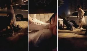筱雅S户外遛狗舔脏鞋底-97LZTD-8342390