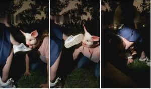 【小痴大人】户外强迫舔脏鞋-97LZTD-8342930