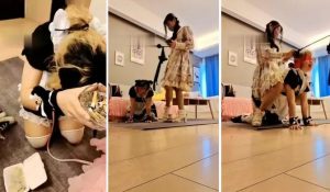【女攻驾到】各种玩骚母畜-97LZTD-1012222963