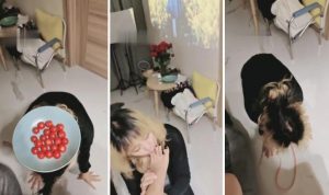 【女攻驾到】物化女奴专场-97LZTD-834802