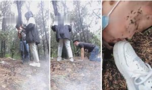 【悦主大人】绑起来脏小白鞋虐狗遛狗-97LZTD-834913