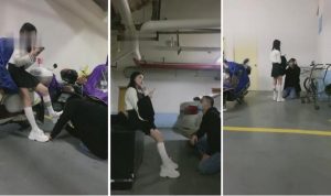 【仔仔萌萌哒】校园女神车库羞辱双狗-97LZTD-83505708