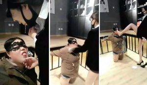 【宇婉莹】耳光打女奴伺候我-97LZTD-83505872