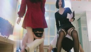 【维妮】双S-海底捞公开群调【续集】-97LZTD-835066301