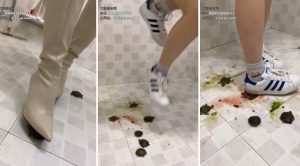 【雅泫】残忍跺碾七只龟