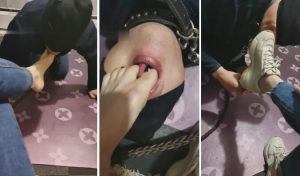 【北京宠儿】不听话挨打听话有奖励-97LZTD-835067575