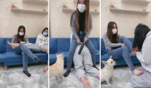 【梓晨】带素人闺蜜第一次接触sm-97LZTD-835067776