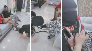 【梦蝶女王大人】素人闺蜜来做客一起玩家奴-97LZTD-83507119