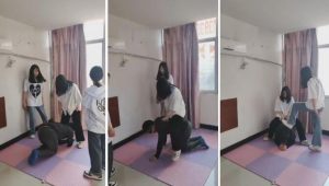 【最抗揍】3素人姐姐欺负抗揍狗-97LZTD-83507155