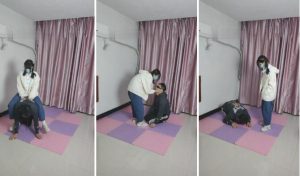 【最抗揍M】被素人学生妹子虐打-97LZTD-83507228