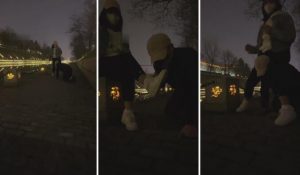 【乐姐s】护城河边散步遛狗【完整版】-97LZTD-83507564