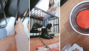 【执念】玩笼子里的狗-97LZTD-83507696
