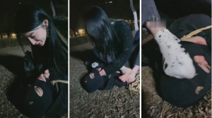 【领主老大】酒吧陪酒女虐待路人-97LZTD-835068079