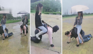 【二宝】3S精彩户外调-雨天脏鞋踢踹犬化训练-97LZTD-835085