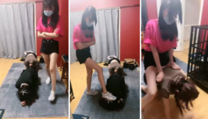 【天津女仆】双母畜-双S-踢打舔鞋舔脚转胯耳光-97LZTD-92641