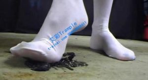 可爱美女白色长筒袜踩蝎子虫子-97LZTD-96039