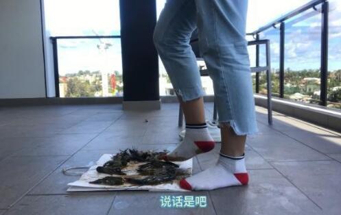 都是你的错，受死吧！-97LZTD-97376