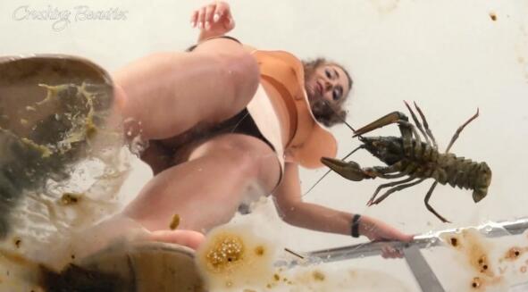 Grace-crawfish茶几凉高跟粉碎龙虾 bf2781-97LZTD-97370