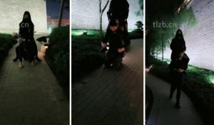 【幽魅】户外刺激调-骑马耳光-97LZTD-97863