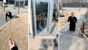 【沅芷大人】圈养犬化-户外狗链遛狗-97LZTD-98240