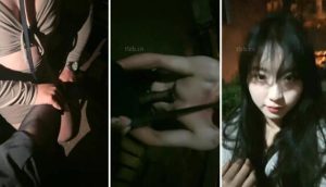【鲨鲨S】户外遛狗-公开处刑-97LZTD-98530